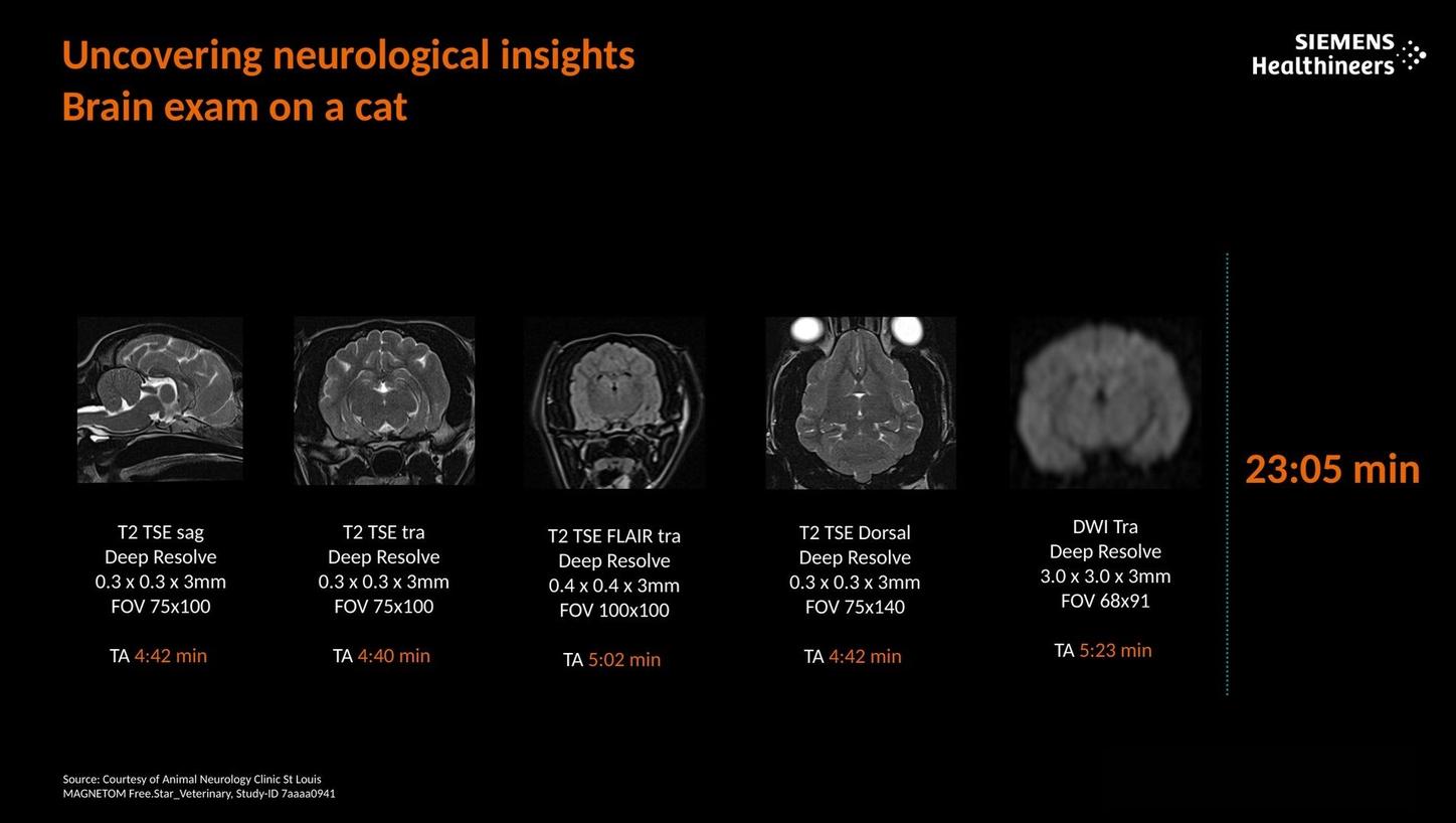 Uncovering neurological insights. Brain exam on a cat.