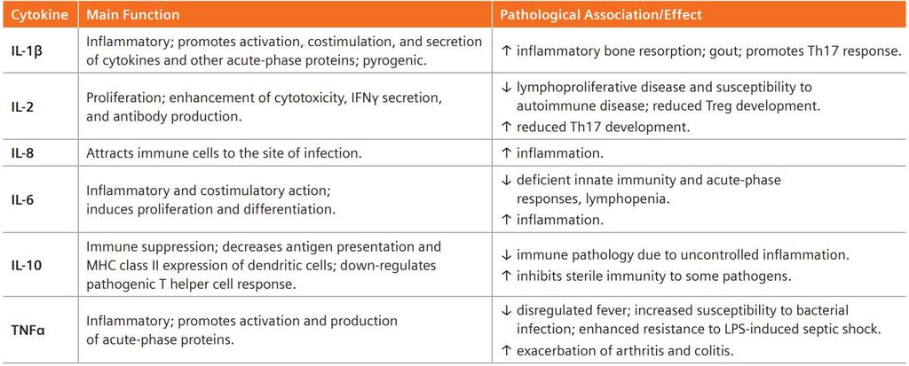 IMMULITE 2000 XPi System Inflammation Panel