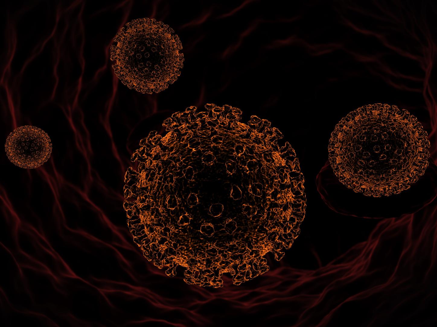 Graphic visual of Rubella Assay identity on black