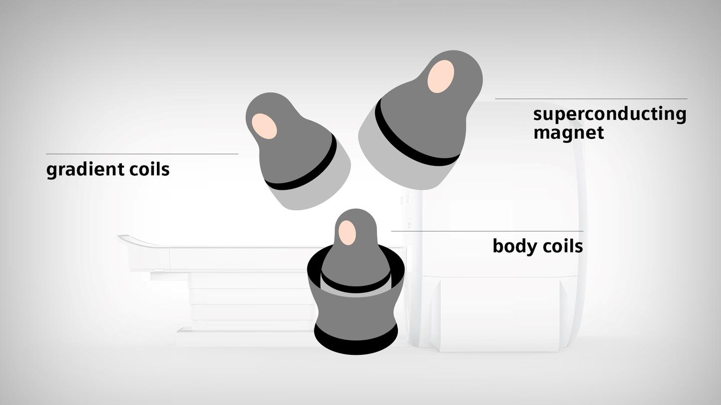 An MRI is structured like a Russian doll: the superconducting magnetic coil is placed on the very outside of the MRI machine. Then come the gradient coils. And on the inside are the body coils.