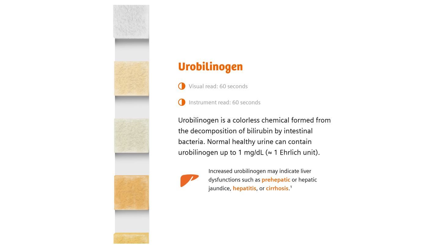 Infographic with details about the Urobilinogen pad