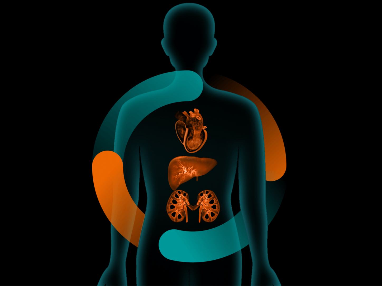Cardiometabolic key visual US