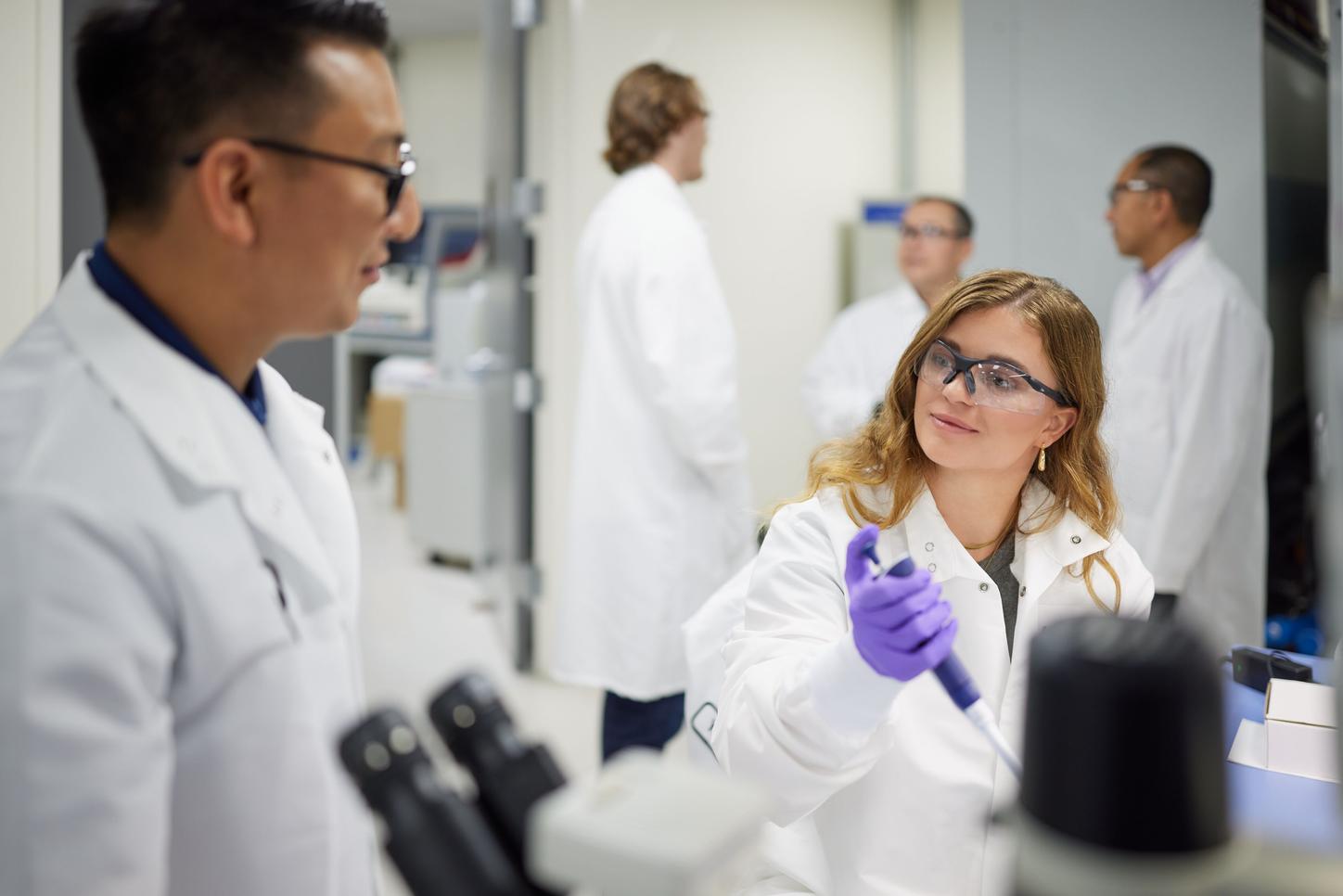 Experienced professionals