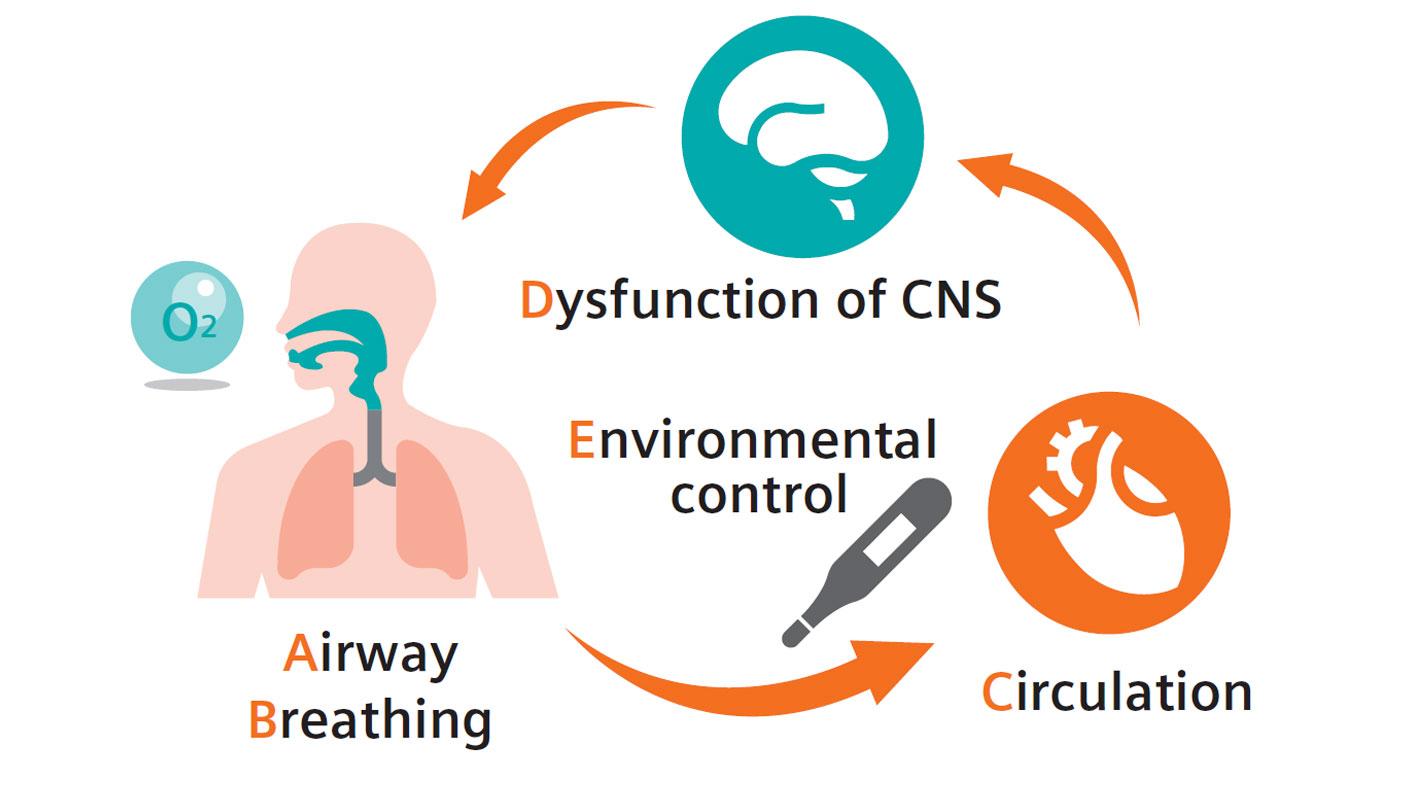 血液ガス分析かわら版①呼吸循環イメージ