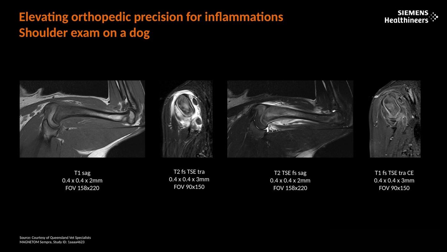 Elevating orthopedic precision for inflammation. Shoulder exam on a dog