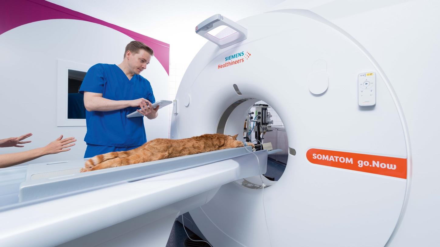 Siemens Healthineers CT-Scanner für die Untersuchung von Kleintieren wie Hunden und Katzen