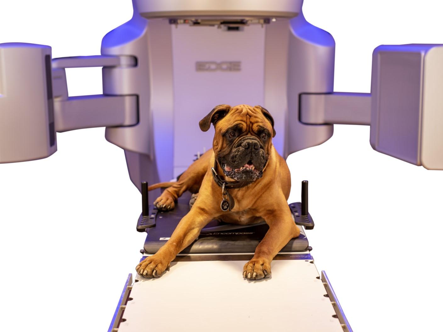 Varian - Veterinary Oncology Solutions
