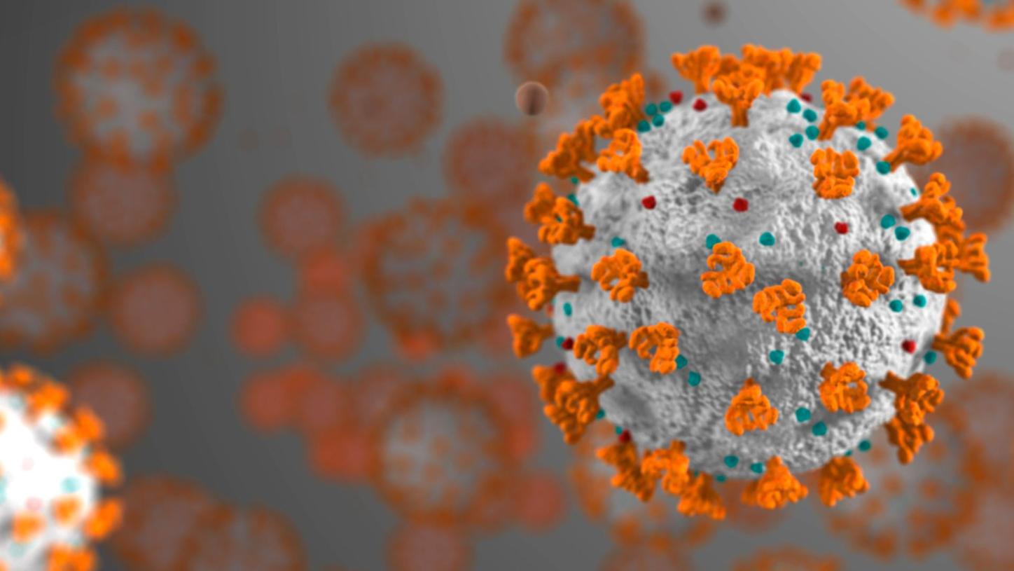 FTD SARS-CoV-2 Assay