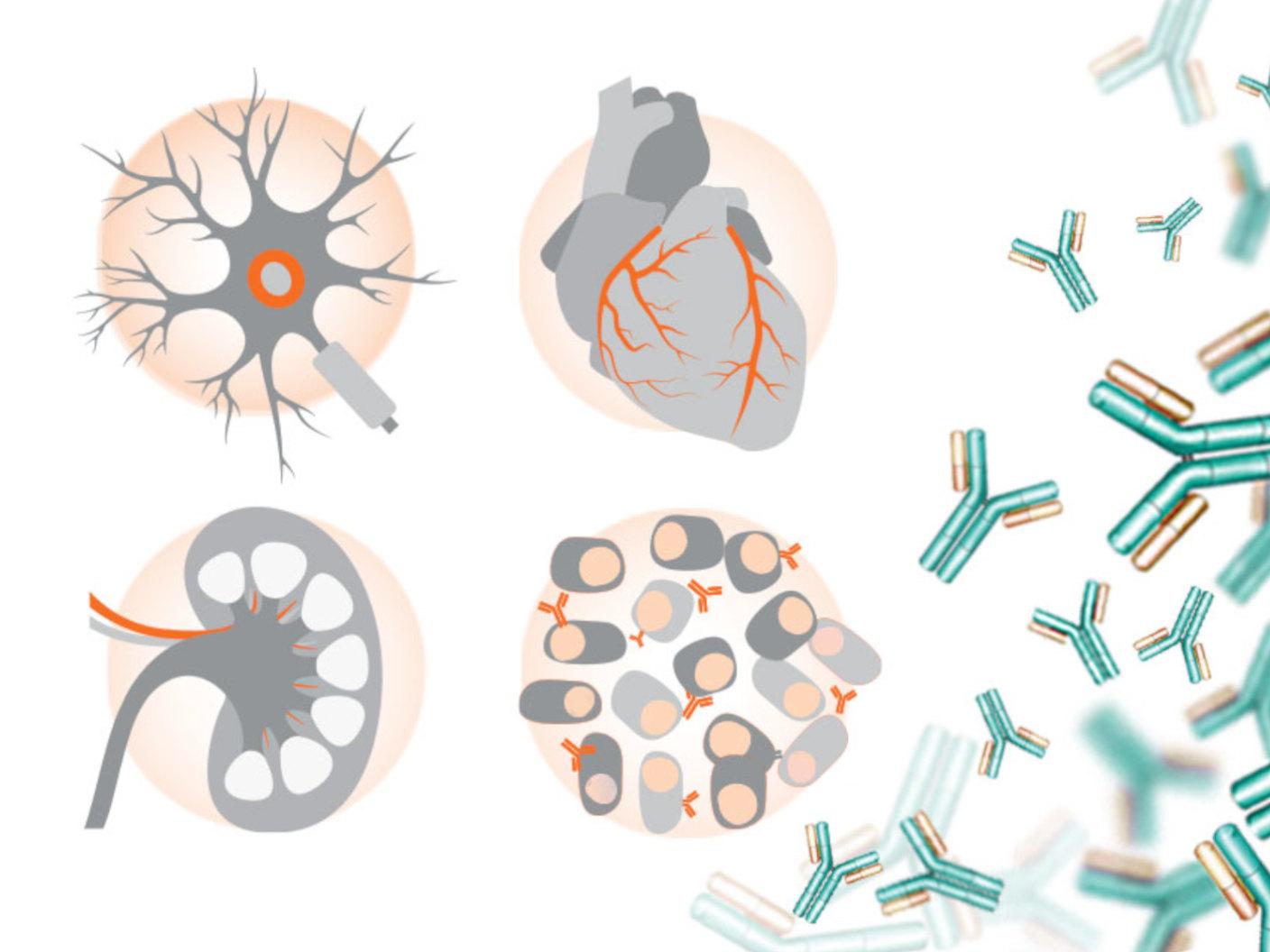 Plasma Proteins Science Day 2025 (PPSD25)