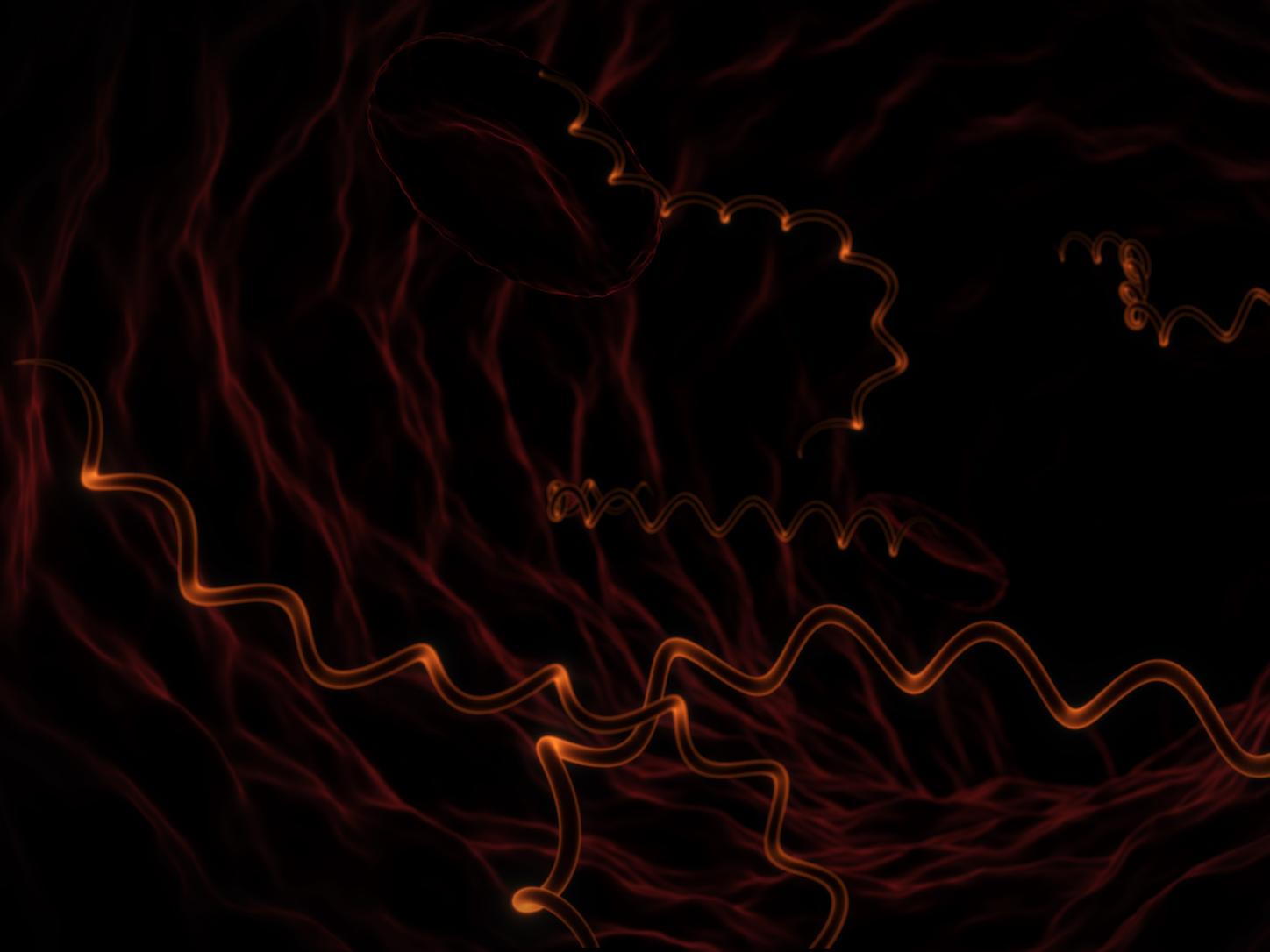 Graphic visual of Syphilis Assay identity on black