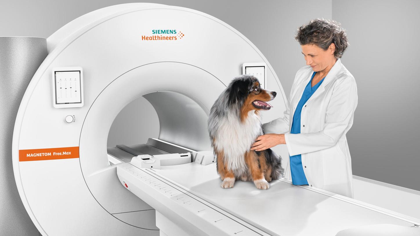 MR Mood Images for Veterinary