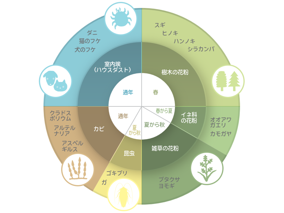 身の回りにあるさまざまなアレルゲン