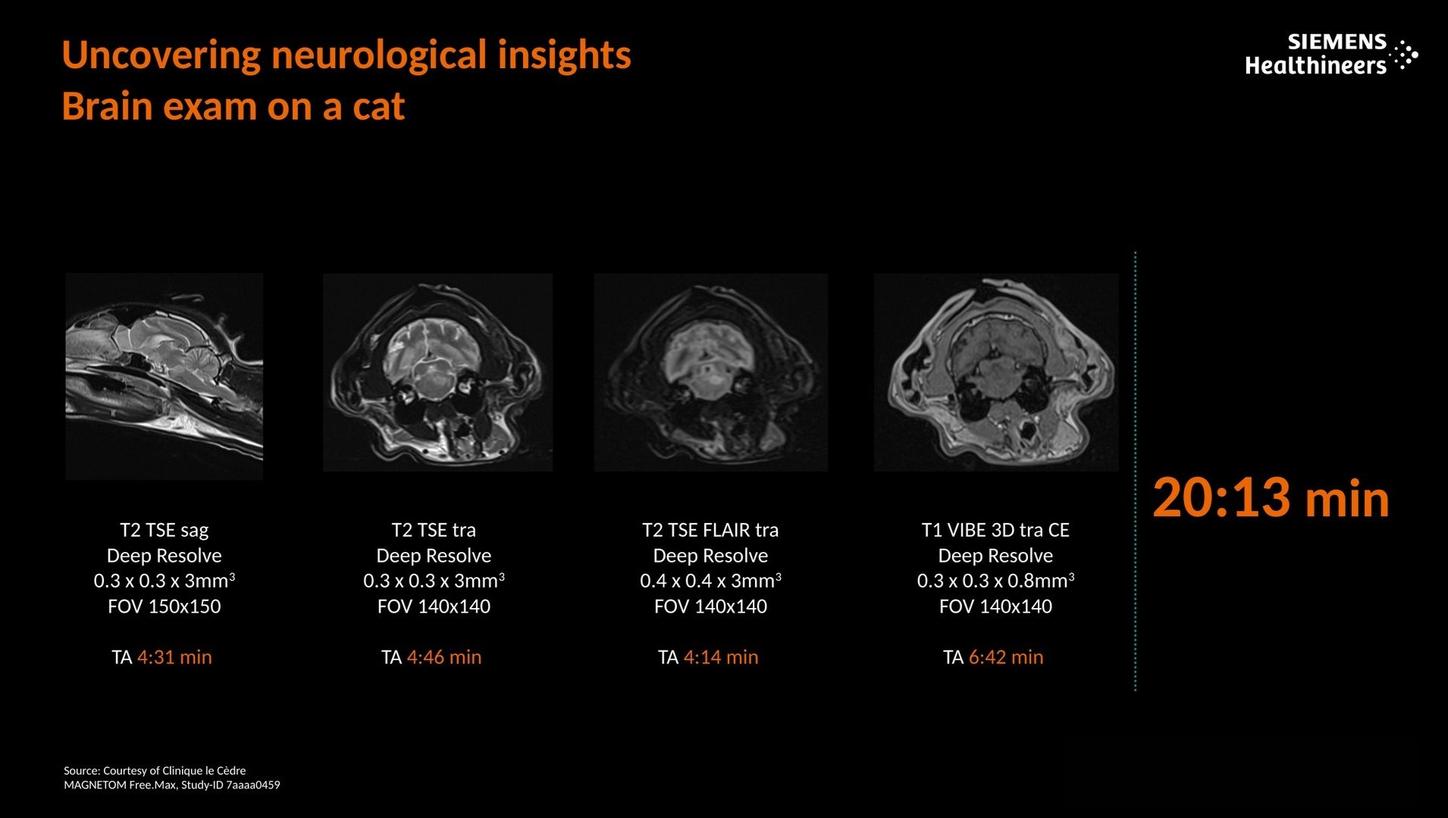 Uncovering neurological insights. Brain exam on a cat.