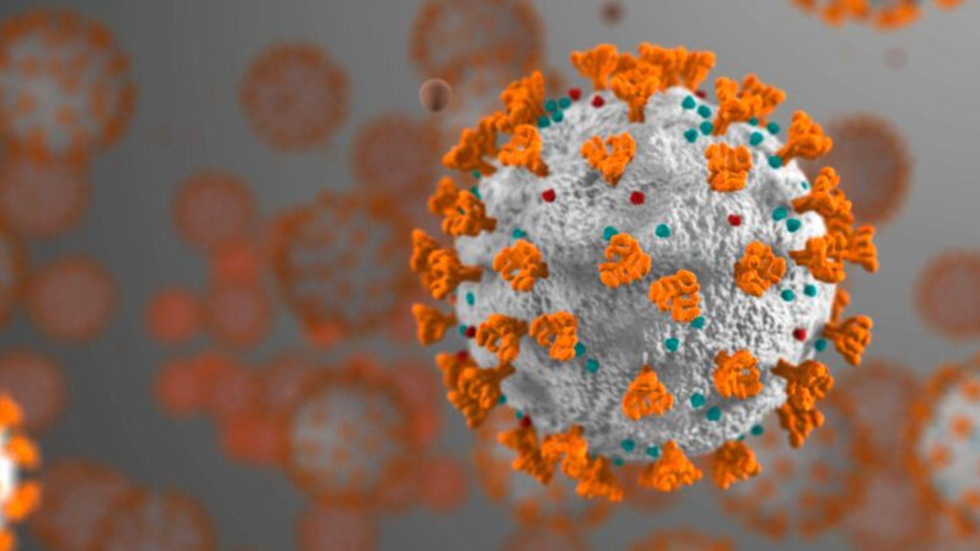 вирус covid 19 под микроскопом. вирус сарс. Sars-cov-2 дельта штамм. вирус sars 2. вирус sars-cov-2.
