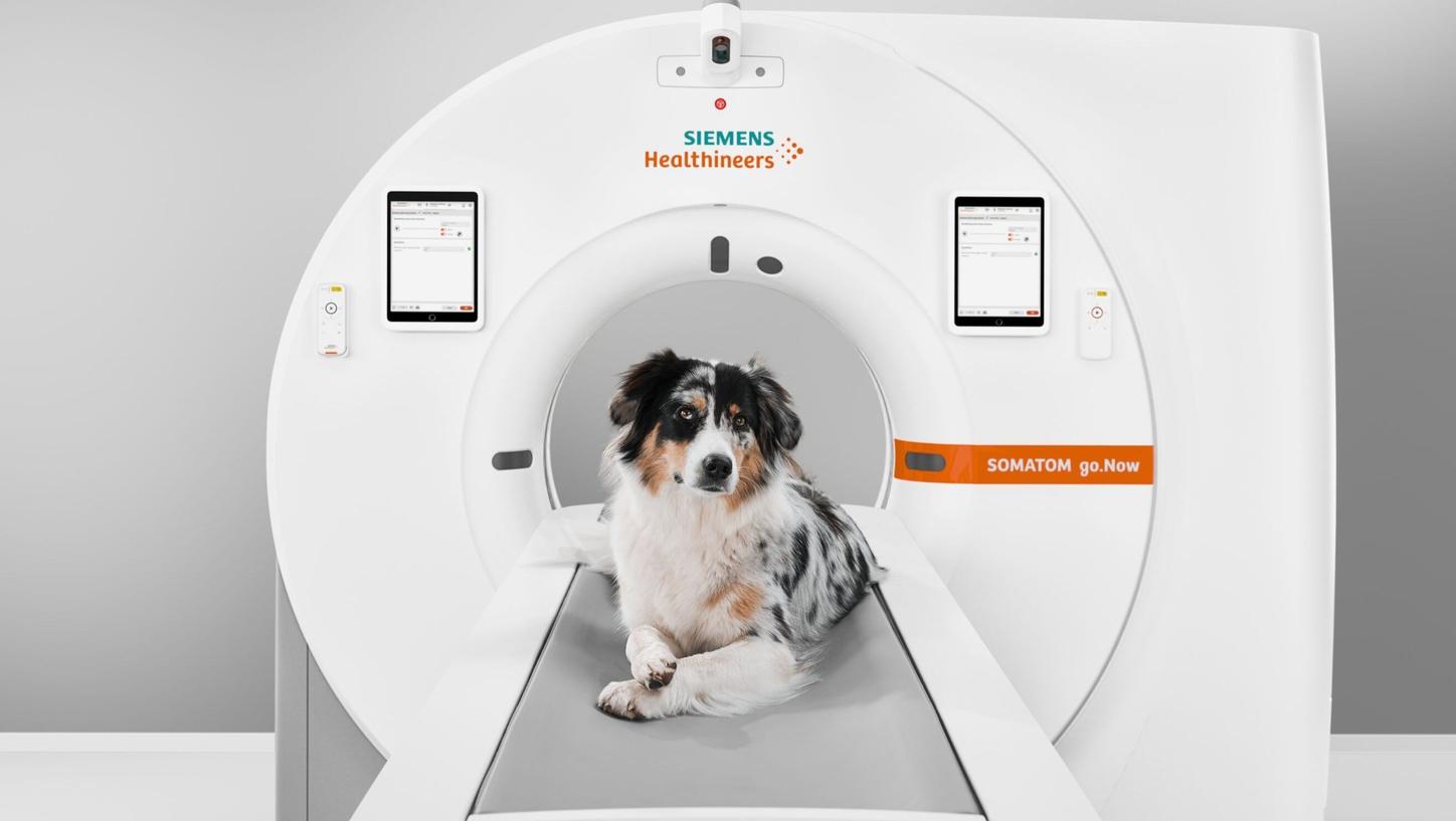 somatom go now vet