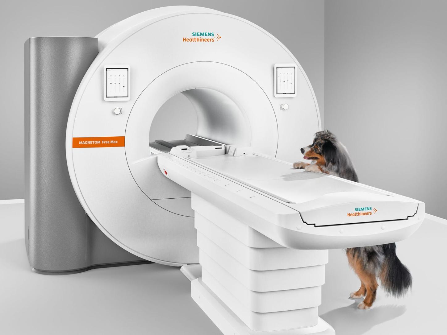 MRI Veterinary Dog