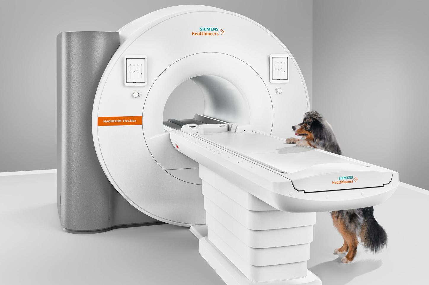 MRI Veterinary Dog