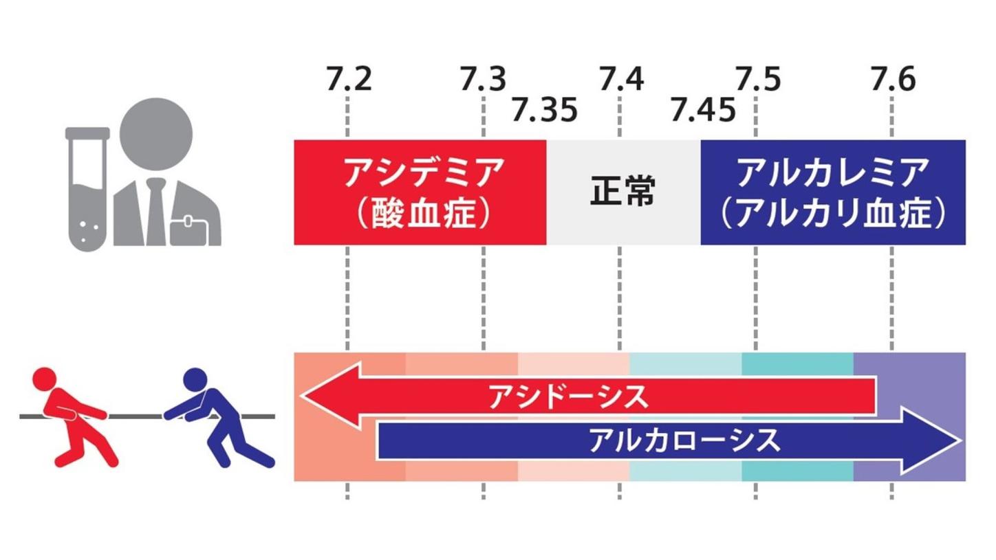血液ガス分析かわら版⑥血液の酸性度
