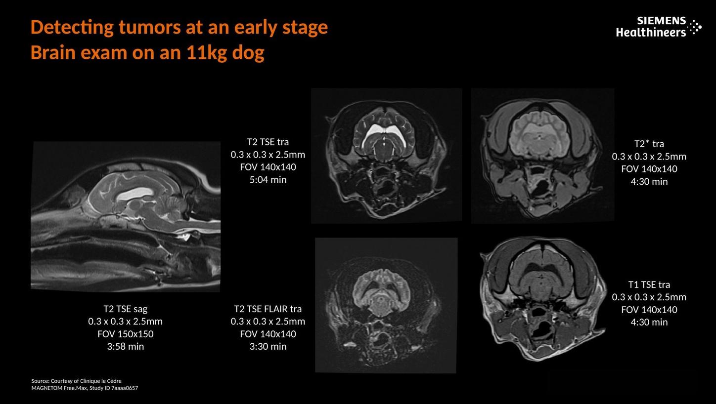 Detecting tumors at an early stage. Brain exam on an 11kg dog.